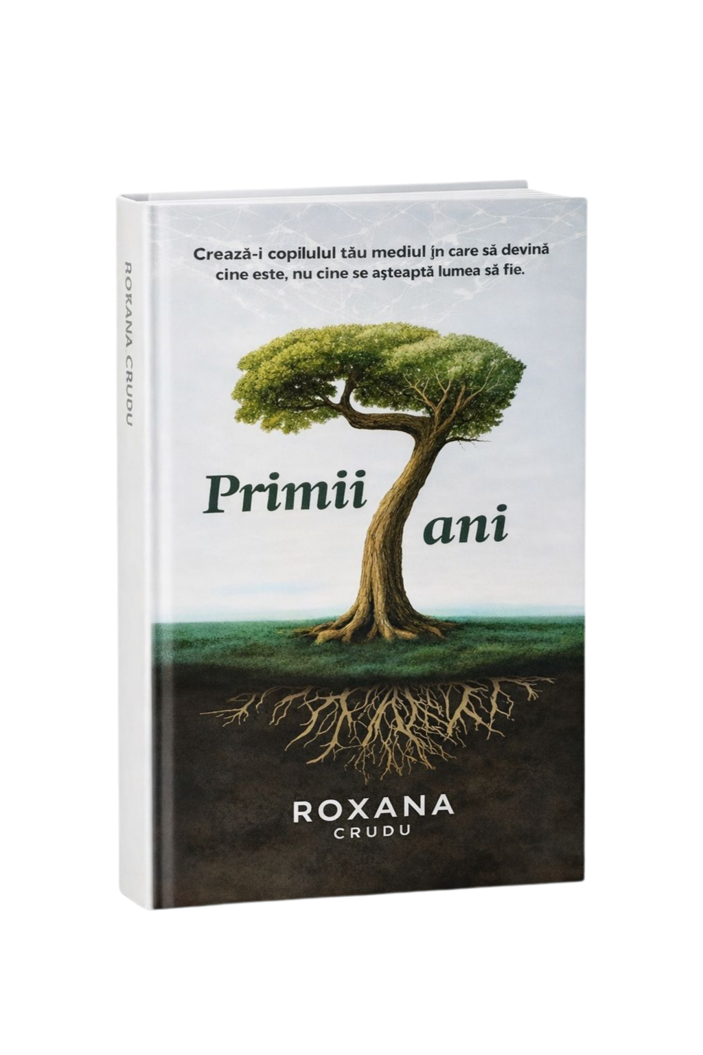 Primii 7 Ani - Carte